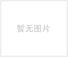 供应甘肃德国阳光蓄电池A412/180A-ABS防爆材质壳体