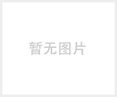 供应甘肃德国阳光蓄电池A412/180A-ABS防爆材质壳体